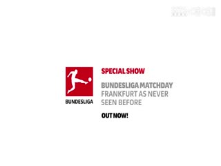 德甲联赛 沃尔夫斯堡VS门兴格拉德巴赫 20250115海报