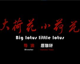 大荷花小荷花海报