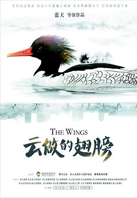 云做的翅膀海报