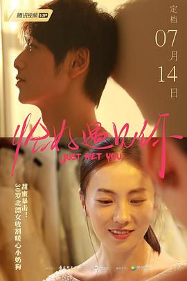 恰好遇见你海报