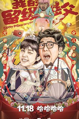 我的留级岳父海报