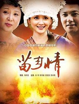 苗乡情海报