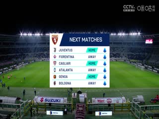 意甲联赛 都灵VS帕尔马 20250106海报