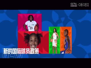 WCBA常规赛B组 武汉盛帆黄鹤VS河南豫光金铅 20241226海报