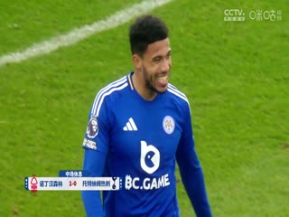 英超联赛 诺丁汉森林VS托特纳姆热刺 20241226海报