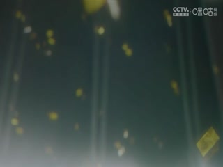 CBA常规赛第22轮 广州朗肽海本VS辽宁本钢 20241226海报