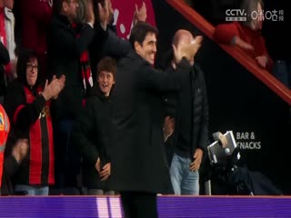 英超联赛 富勒姆VS伯恩茅斯 20241229海报