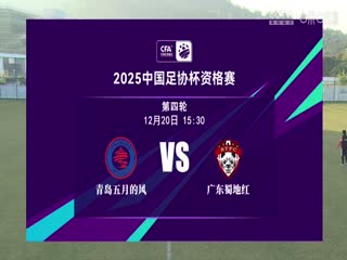 足协杯资格赛 青岛五月的风VS广东蜀地红 20241220海报