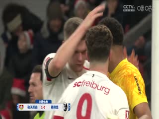 德甲联赛 勒沃库森VS弗赖堡 20241222海报