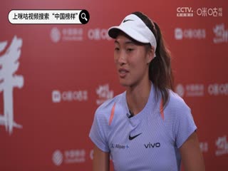 英超联赛 托特纳姆热刺VS狼队 20241229海报