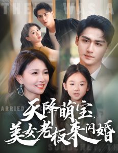 天降萌宝美女老板来闪婚海报