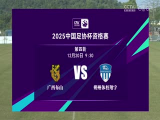 足协杯资格赛 广西布山VS朔州体校翔宇 20241220海报