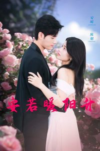 安若暖阳升海报