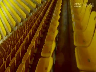 WCBA常规赛B组 黑龙江上东VS厦门环东文旅 20250105海报