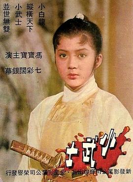 小武士海报