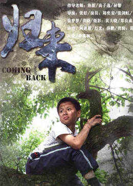 归来海报