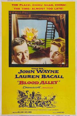 血巷海报