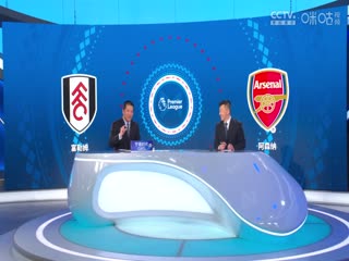 英超联赛 富勒姆VS阿森纳 20241209海报