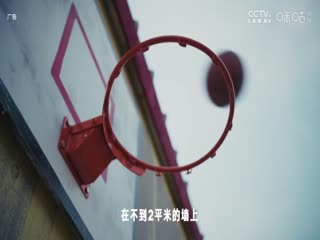 NBA常规赛 森林狼VS快船 20241205海报