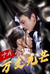 予我万丈光芒海报