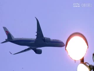 WCBA常规赛A组 石家庄英励VS东莞新彤盛 20241130海报