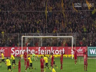 德甲联赛 美因茨VS霍芬海姆 20241201海报