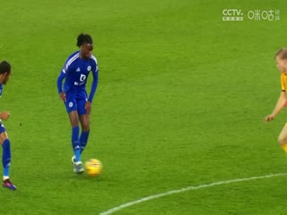 英超联赛 布莱顿VS水晶宫 20241215海报