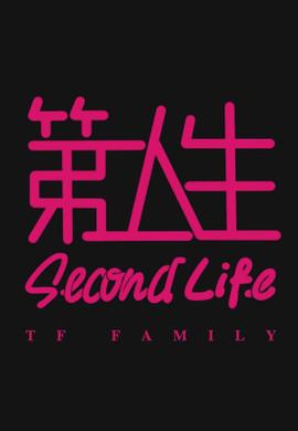 第二人生海报