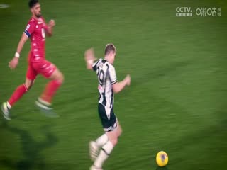 意甲联赛 博洛尼亚VS佛罗伦萨 20241215海报