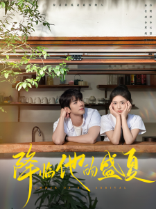 降临他的盛夏海报