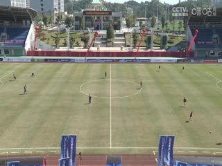 中国传承足球明星联赛 湖北思翰传承足球队VS云南凤凰上邦维达足球队 20241108海报