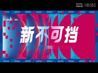 WCBA常规赛A组 东莞新彤盛VS山西竹叶青酒 20241123海报