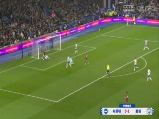 英超联赛 布莱顿VS曼城 20241110海报