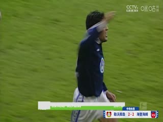 德甲联赛 勒沃库森VS海登海姆 20241123海报