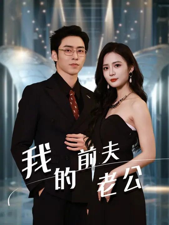 我的前夫老公海报