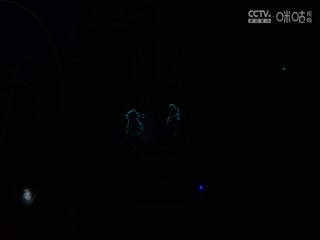 NBA杯 鹈鹕VS独行侠 20241120海报