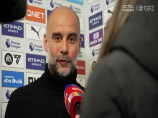 英超联赛 纽卡斯尔联VS西汉姆联 20241126海报