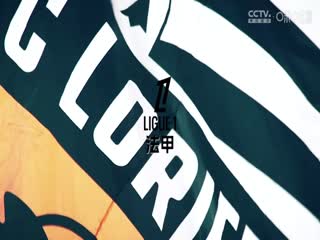 西甲联赛 马德里竞技VS阿拉维斯 20241123海报