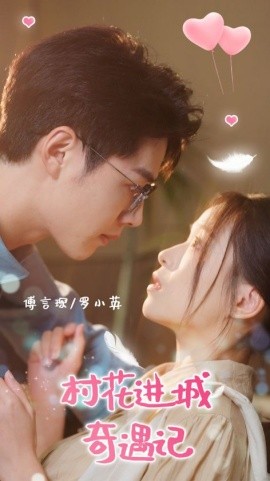 村花进城奇遇记海报