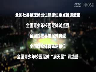 中国传承足球明星联赛 陕西佳鑫伟业足球队VS深圳传承明星足球队 20241108海报