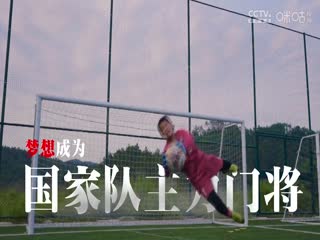 中国传承足球明星联赛 广州传承明星队VS四川恒创甲A明星足球队 20241110海报