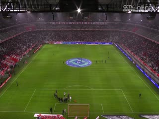 法甲联赛 里尔VS雷恩 20241124海报