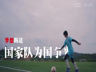 中国传承足球明星联赛 云南凤凰上邦维达足球队VS广西传承足球明星队 20241109海报