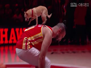 NBA常规赛 凯尔特人VS老鹰 20241105海报