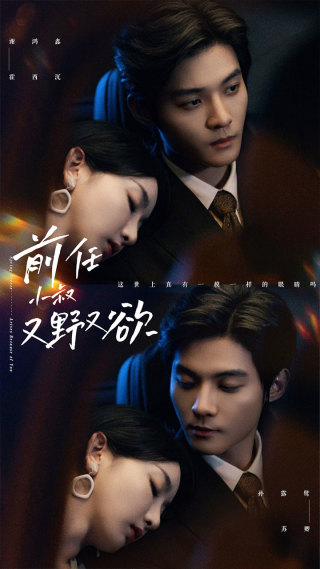 前任小叔又野又欲海报