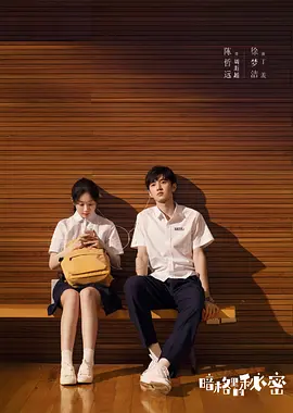 暗格里的秘密海报