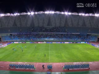 中超联赛 沧州雄狮VS南通支云 20241020海报