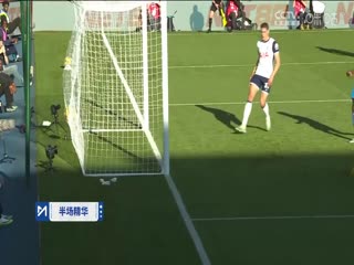 英超联赛 水晶宫VS托特纳姆热刺 20241027海报