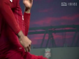 英超联赛 纽卡斯尔联VS布莱顿 20241019海报