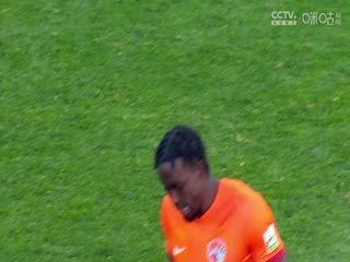 中超联赛 天津津门虎足球俱乐部VS青岛海牛 20241027海报